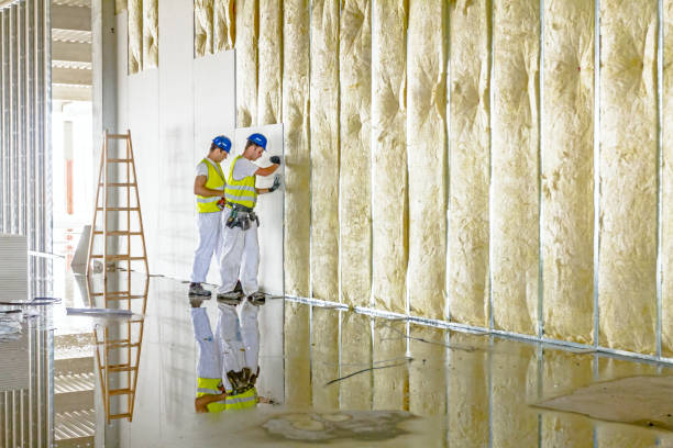 Eco-Friendly or Green Insulation Solutions in Silver Springs, FL